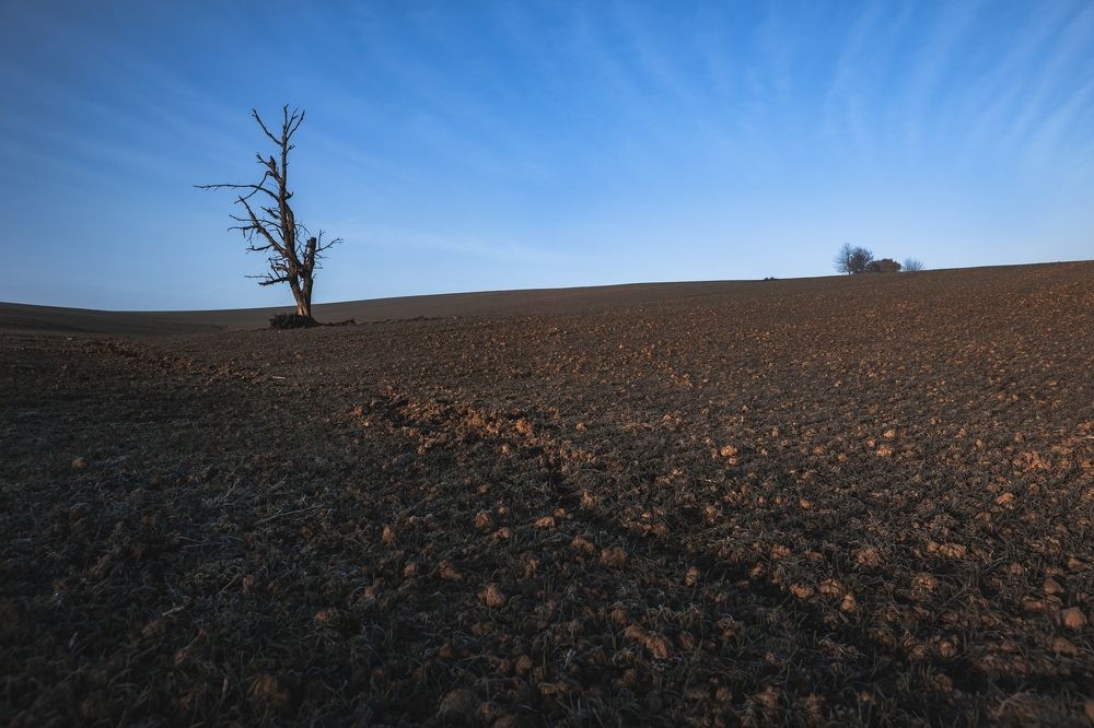 Фотография автора Tomas Kozel