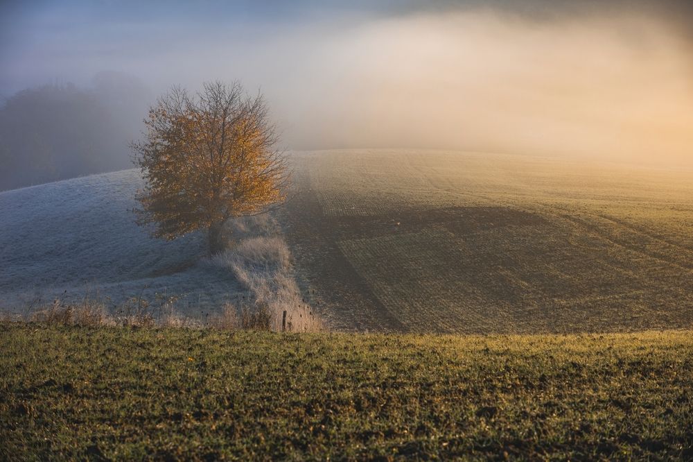 Photograph by Tomas Kozel