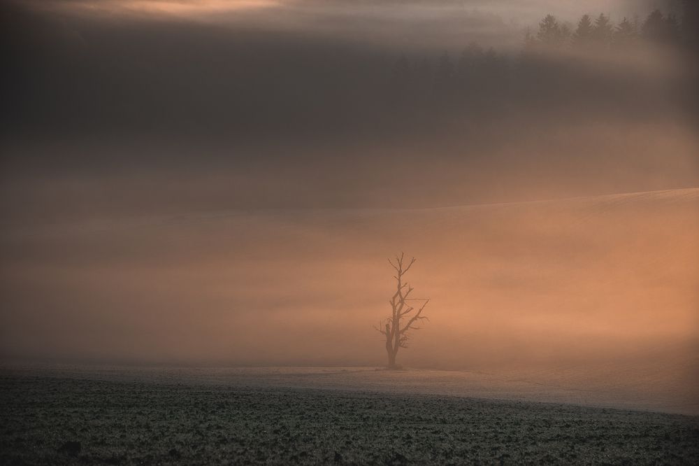 Фотография автора Tomas Kozel