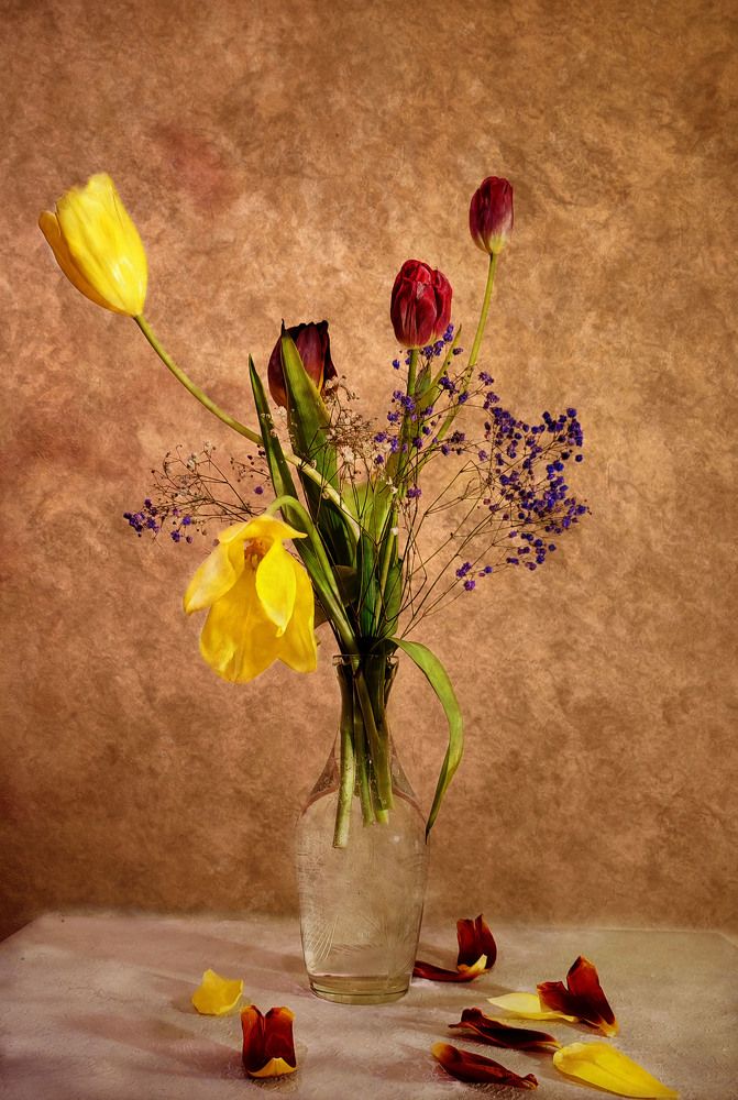 Photograph by Наталья Коншина