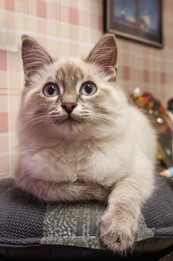 Photograph by Денис Кичев