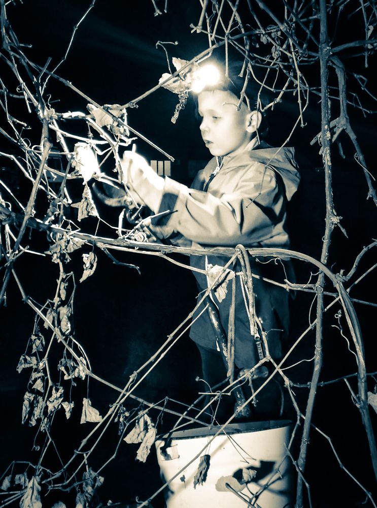 Photograph by Александр Редько