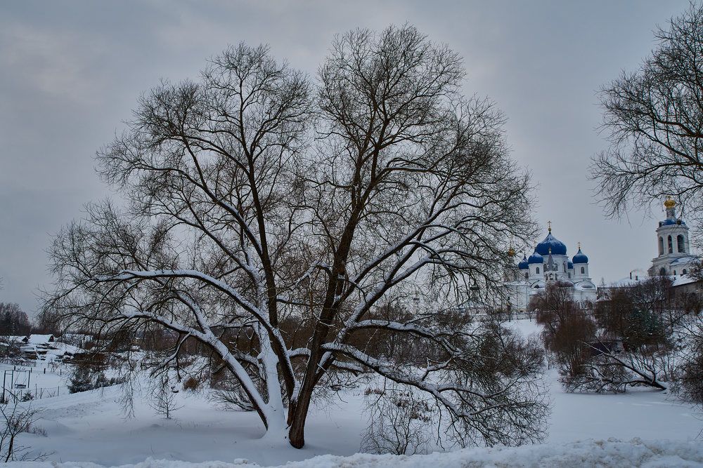 Photograph by Дмитрий Солодухин