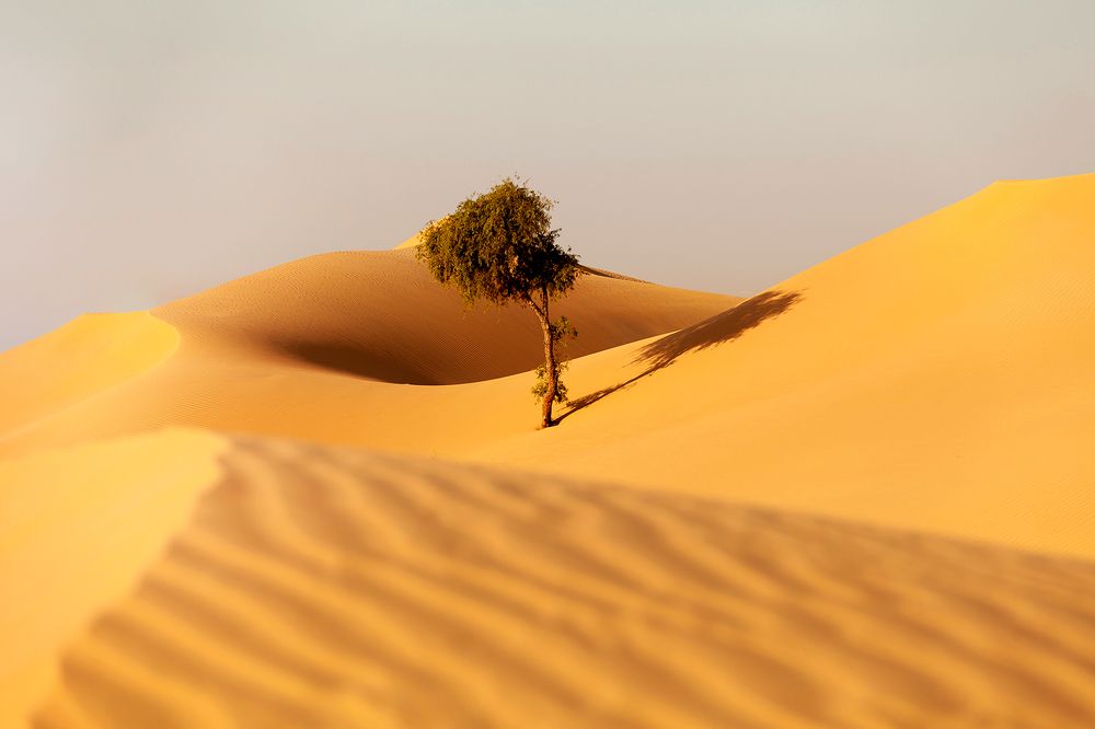 Photograph by Viktoryia Vinnikava