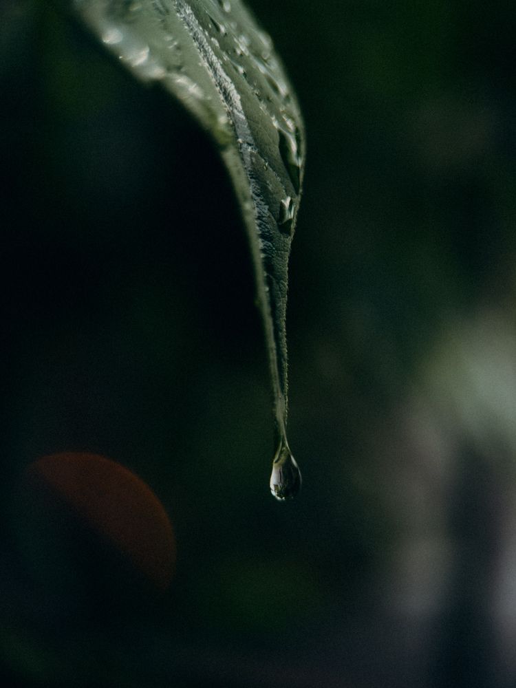 Photograph by Алиса Нежинская