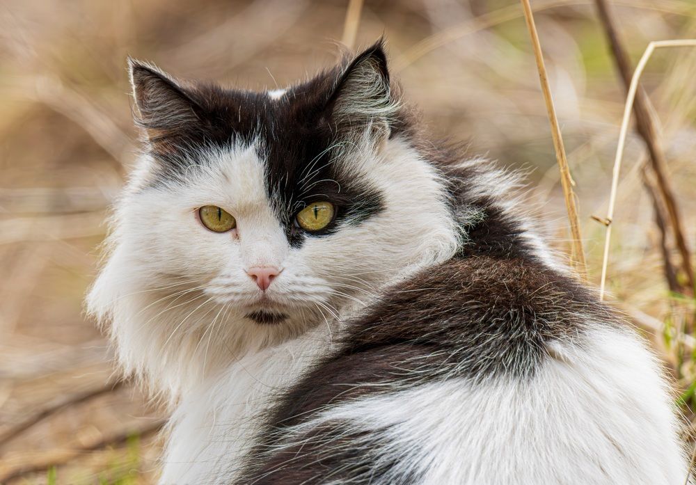 Photograph by Сергей