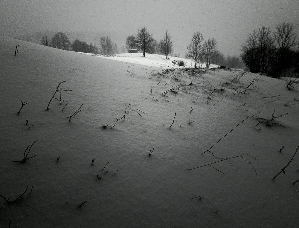 Фотография автора Tomas Kozel