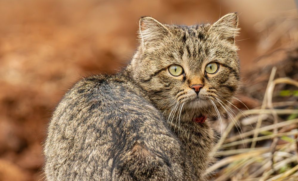 Photograph by Сергей