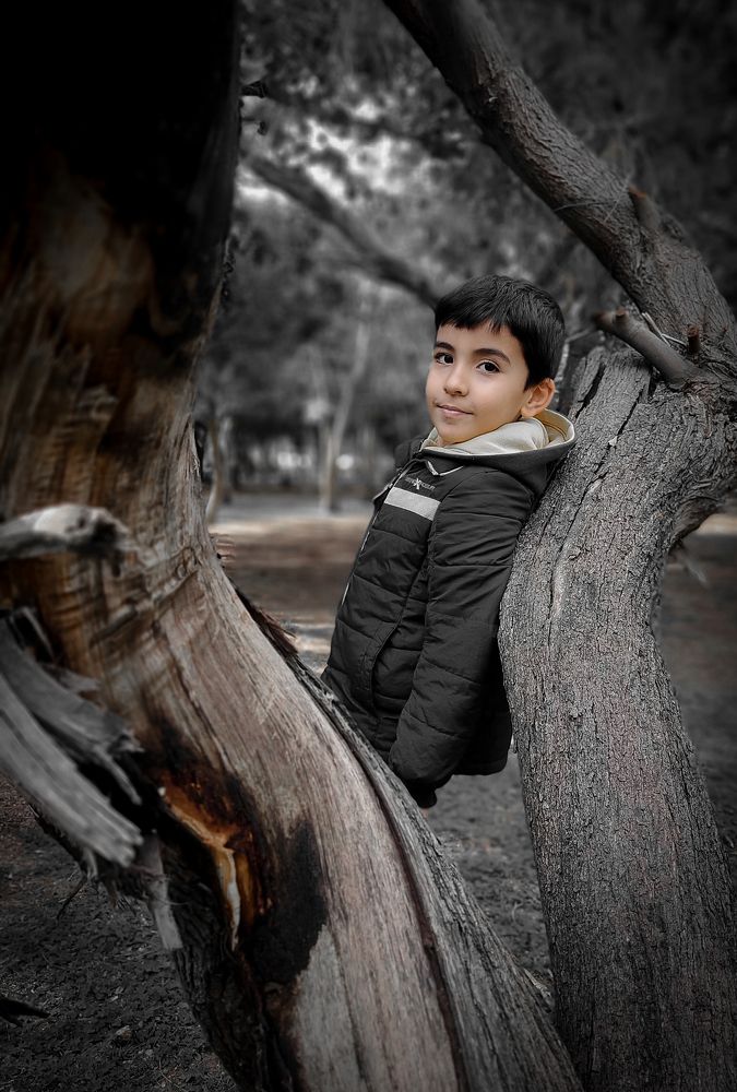 Photograph by Hassan Ghazel