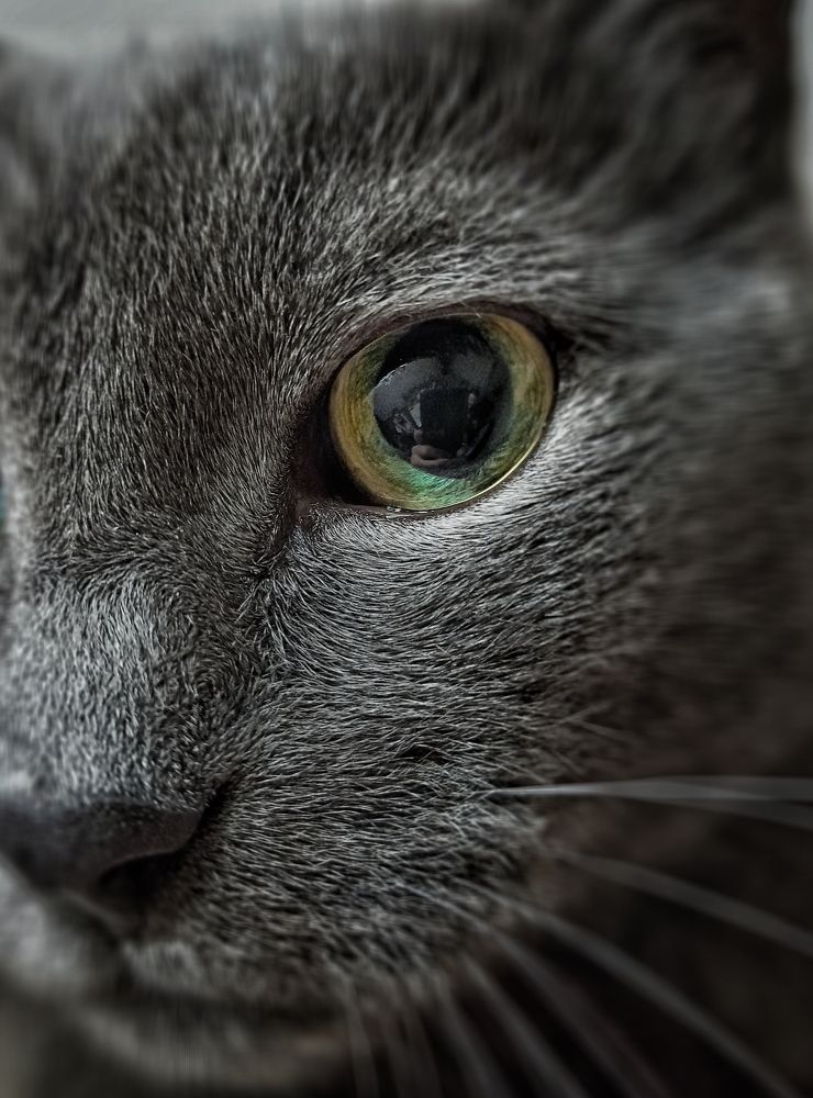 Фотография автора Вадим Кармазин