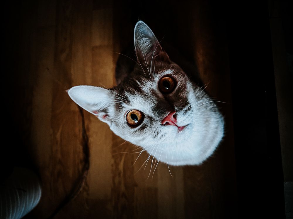 Photograph by Дарья Эглите