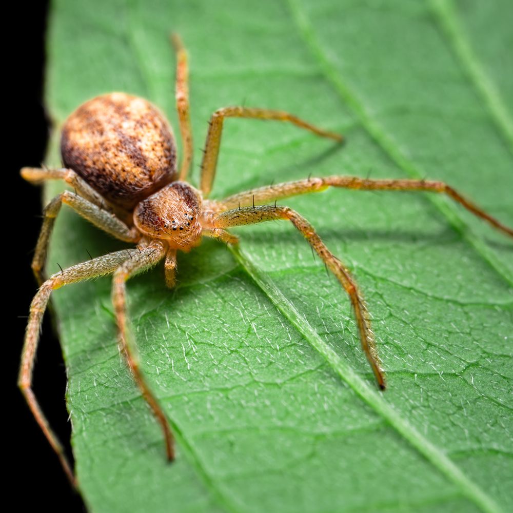 Photograph by Гукасян Геворк