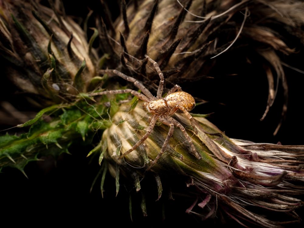 Photograph by Гукасян Геворк