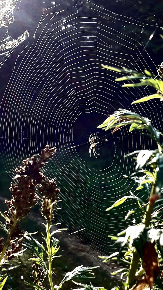 Photograph by Татьяна Солтан