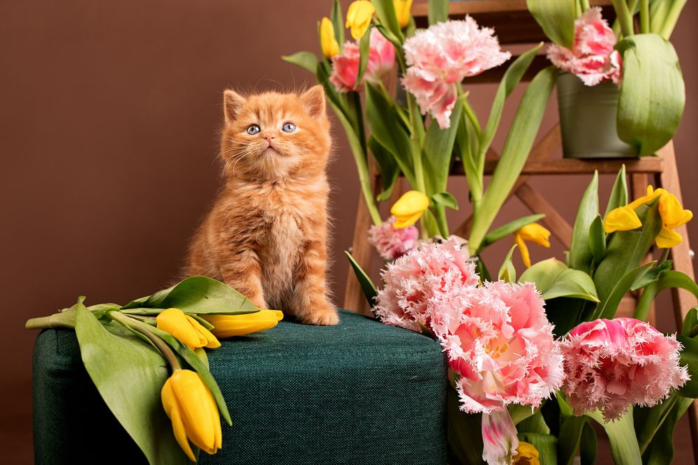 Photograph by Екатерина Терновая