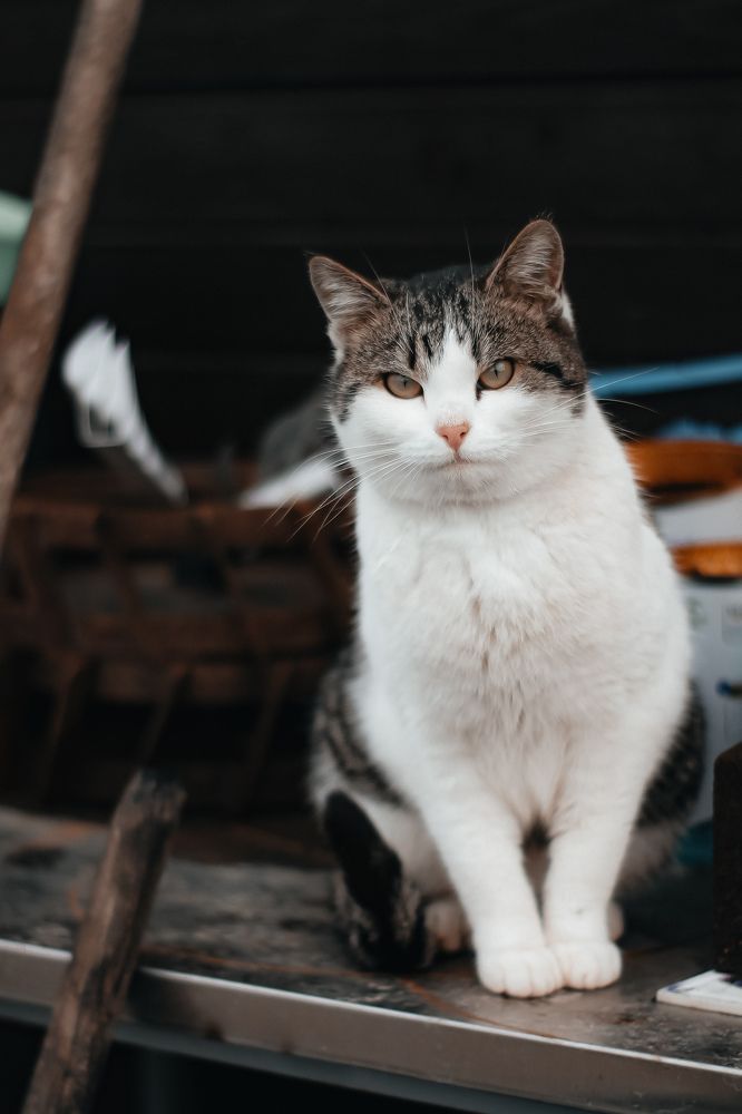 Photograph by Наталья Чернышова