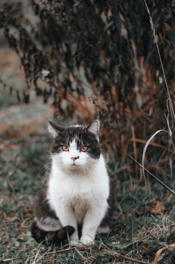 Photograph by Наталья Чернышова