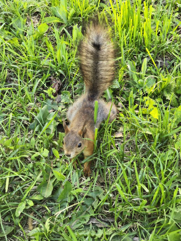 Photograph by Татьяна Дмитриева