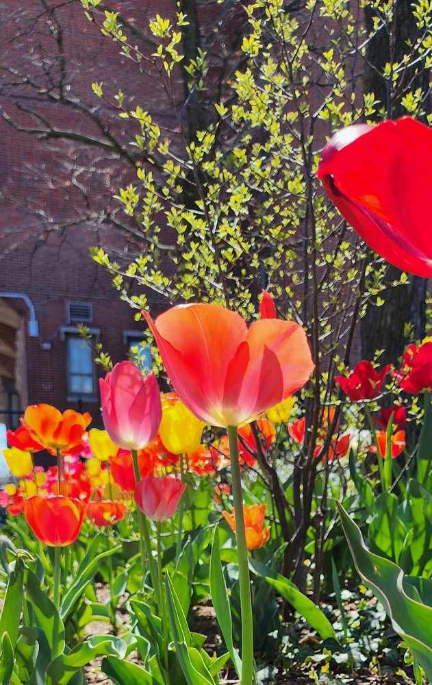 Фотография автора Adriana Rocha