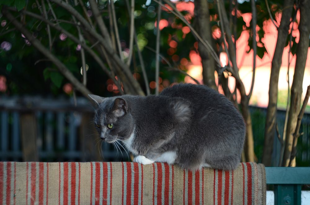 Фотография автора Вадим Писарев