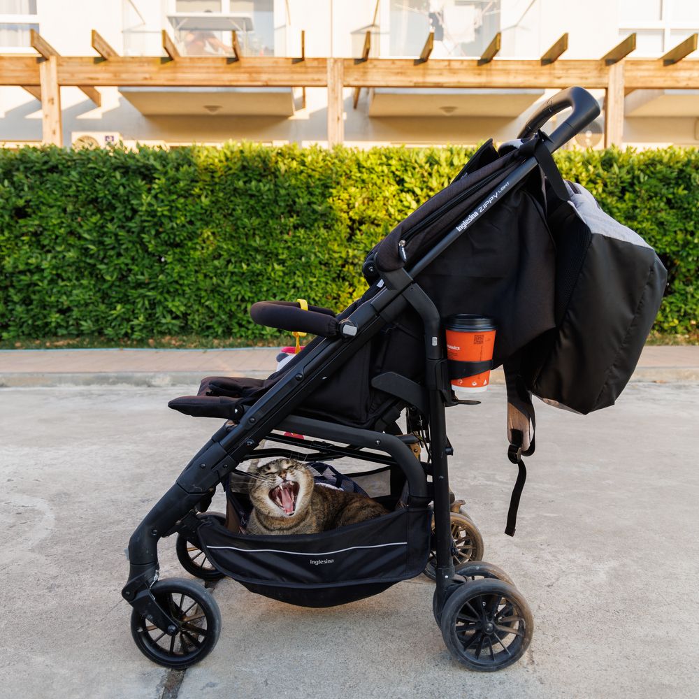 Photograph by Maxim Lip