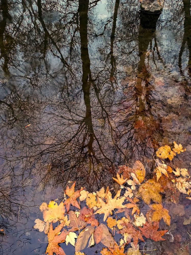 Photograph by Sahar Jafari