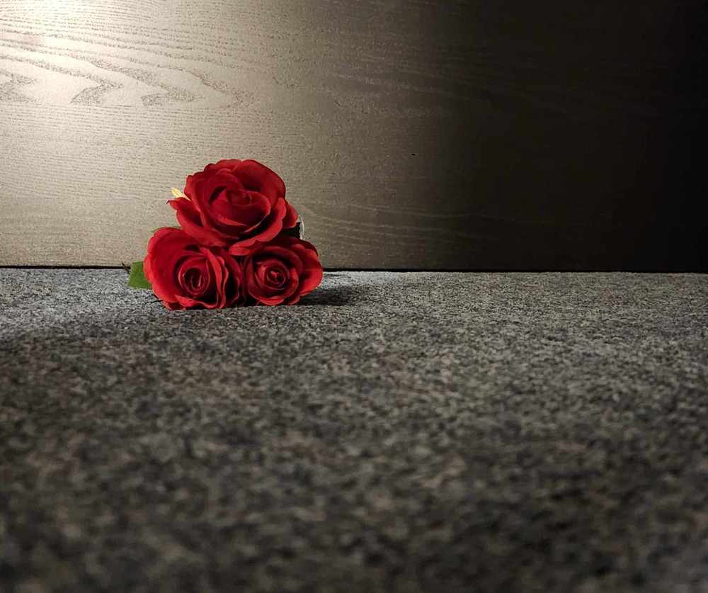 Фотография автора Adriana Rocha