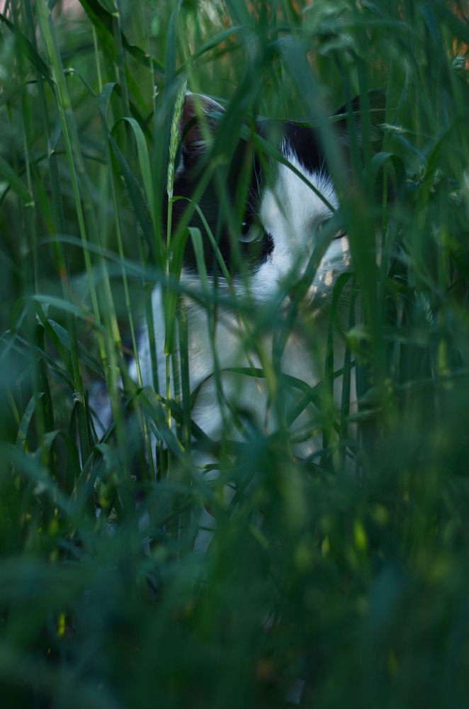 Фотография автора Вадим Писарев