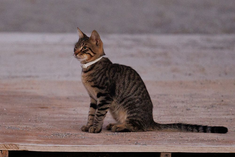 Photograph by Maxim Lip