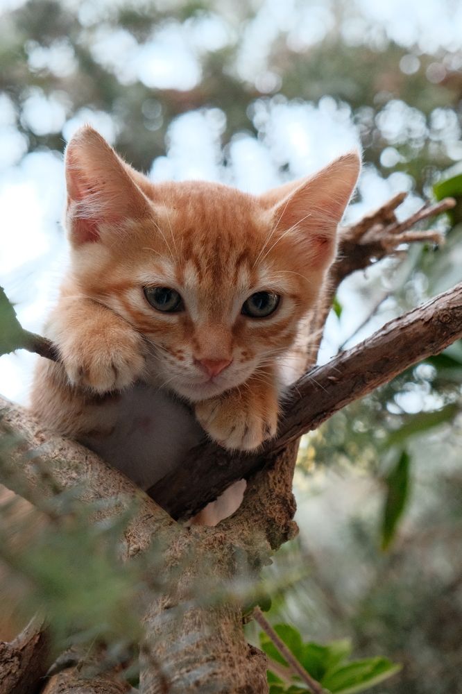 Photograph by Maxim Lip