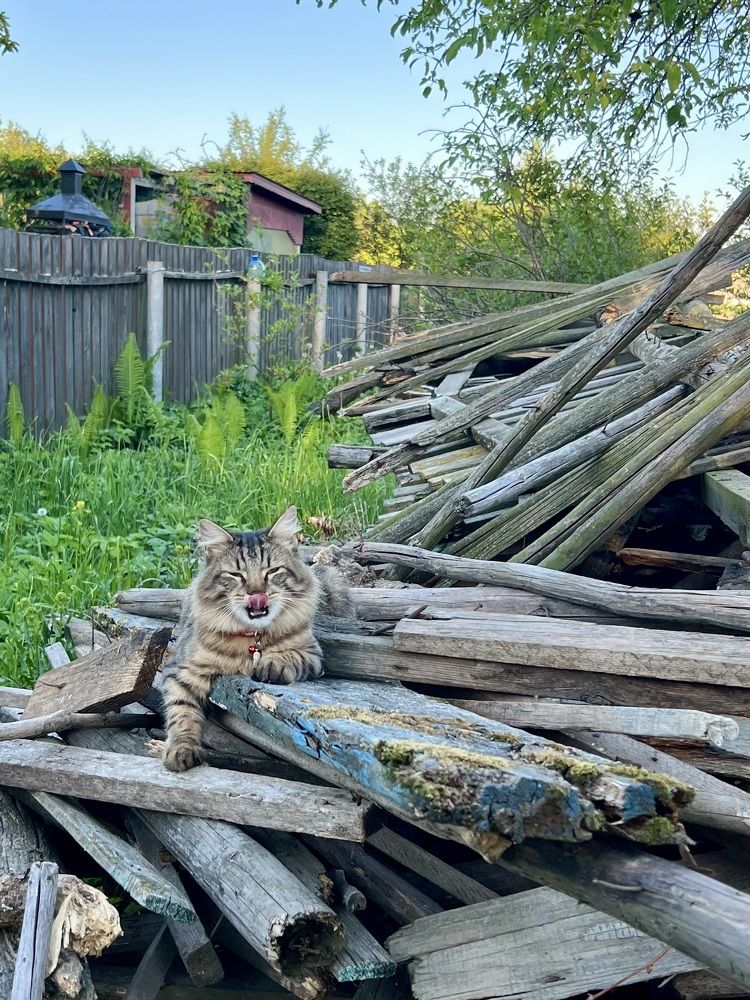 Photograph by Наталья Мэмэлигэ