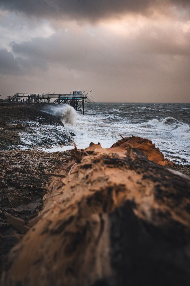 Photograph by Larigaldie