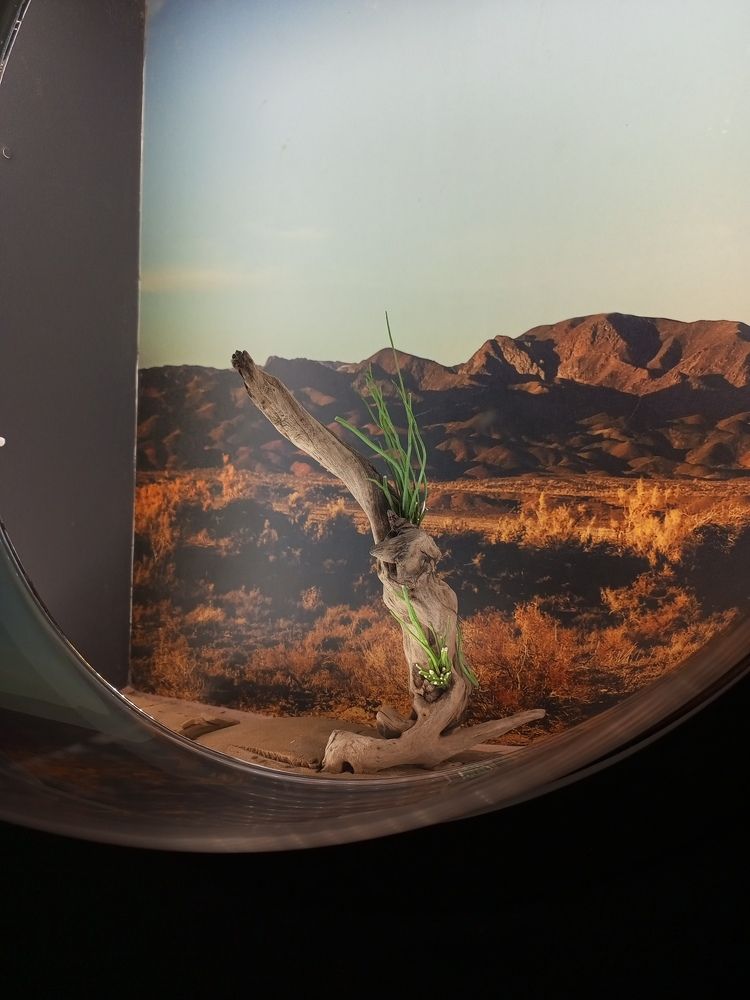 Фотография автора Eli Arzimanova