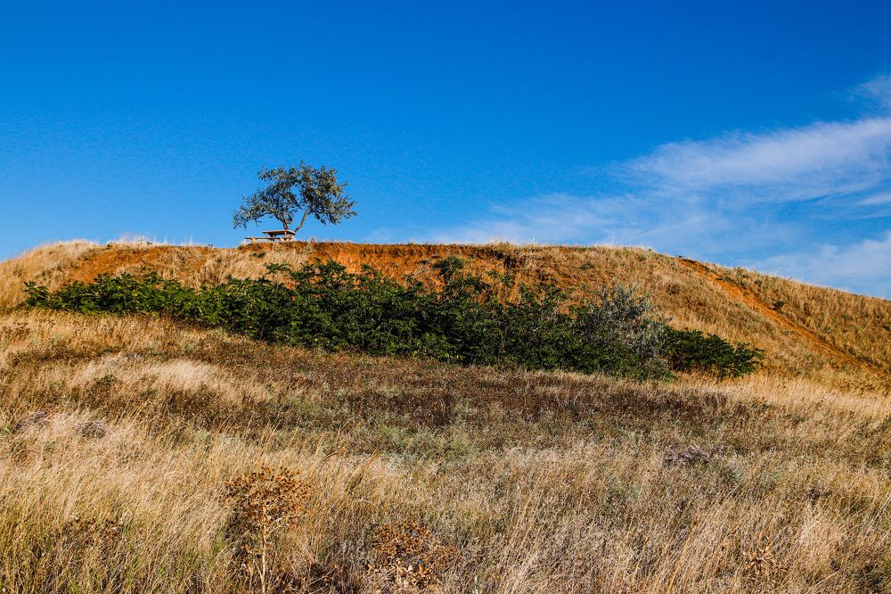 Photograph by Алексей Голубев