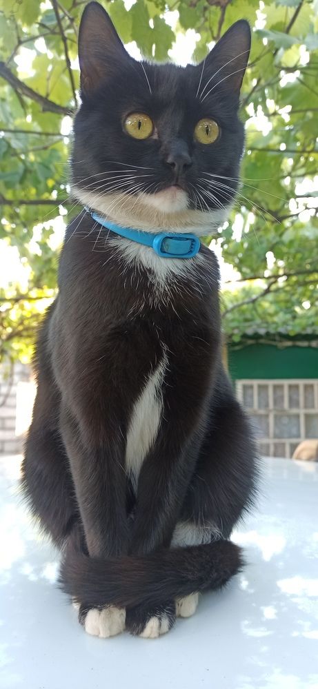 Photograph by Виорика Фоменко