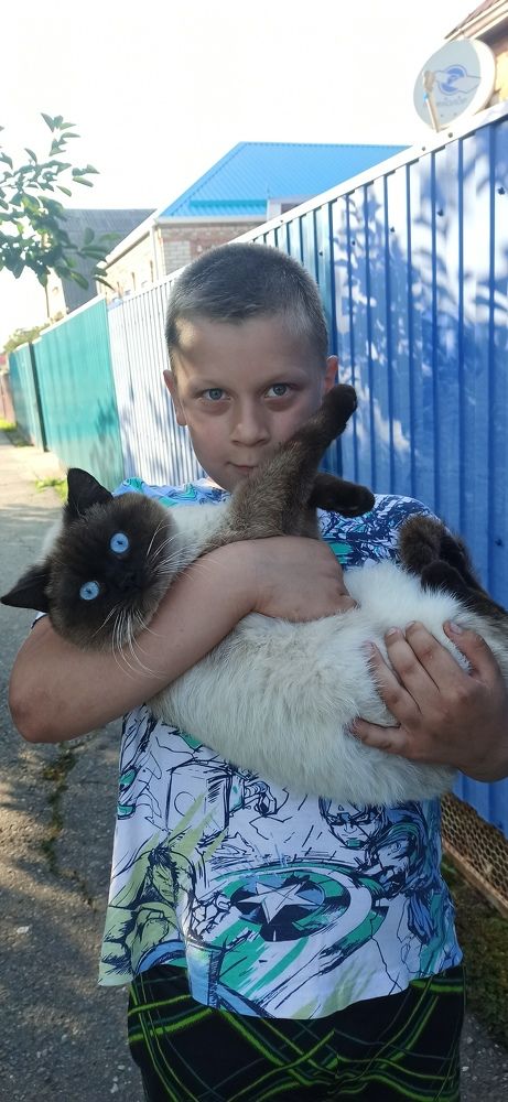 Photograph by Виорика Фоменко