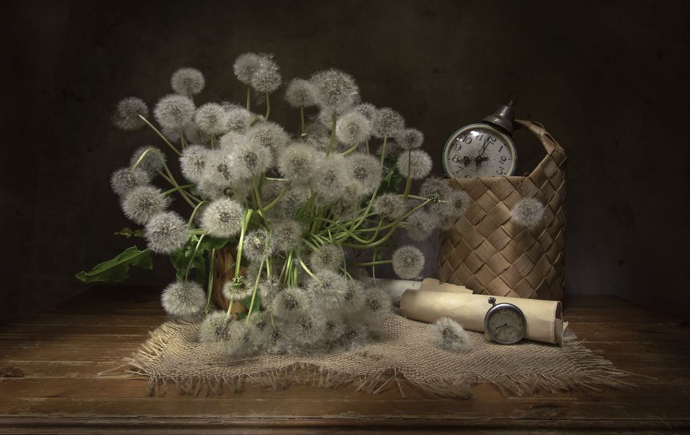 Photograph by Tatyana Fedenkova