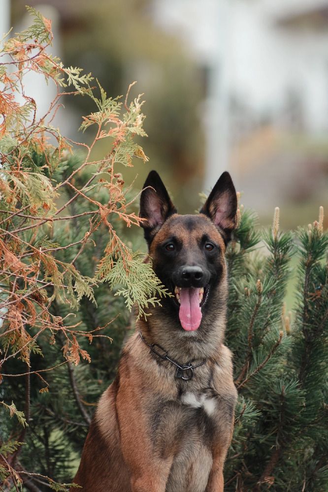 Photograph by Юлия Майорова