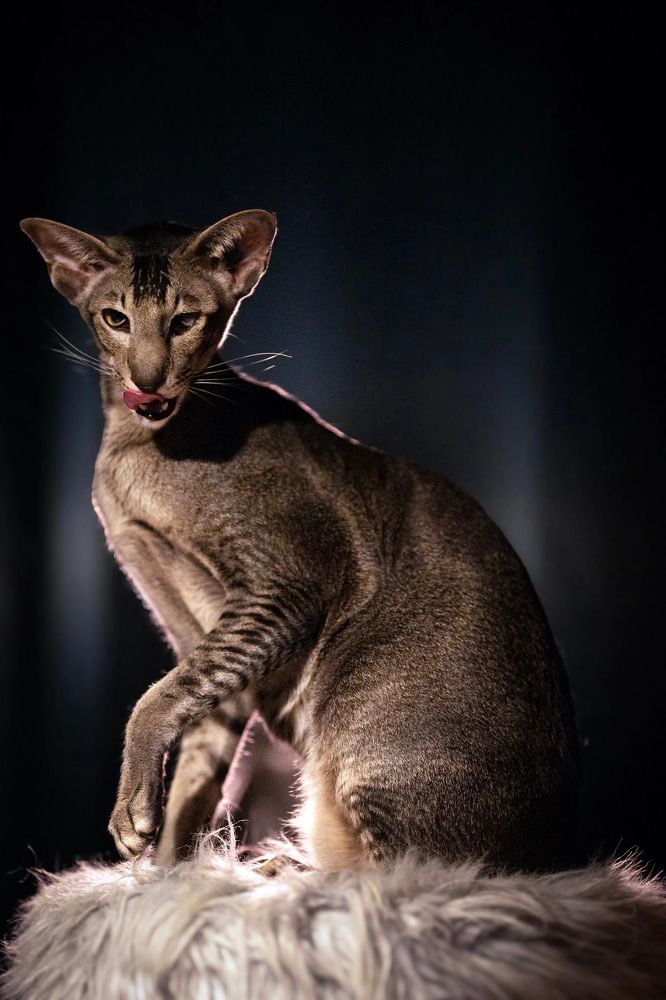 Photograph by Мария Романова