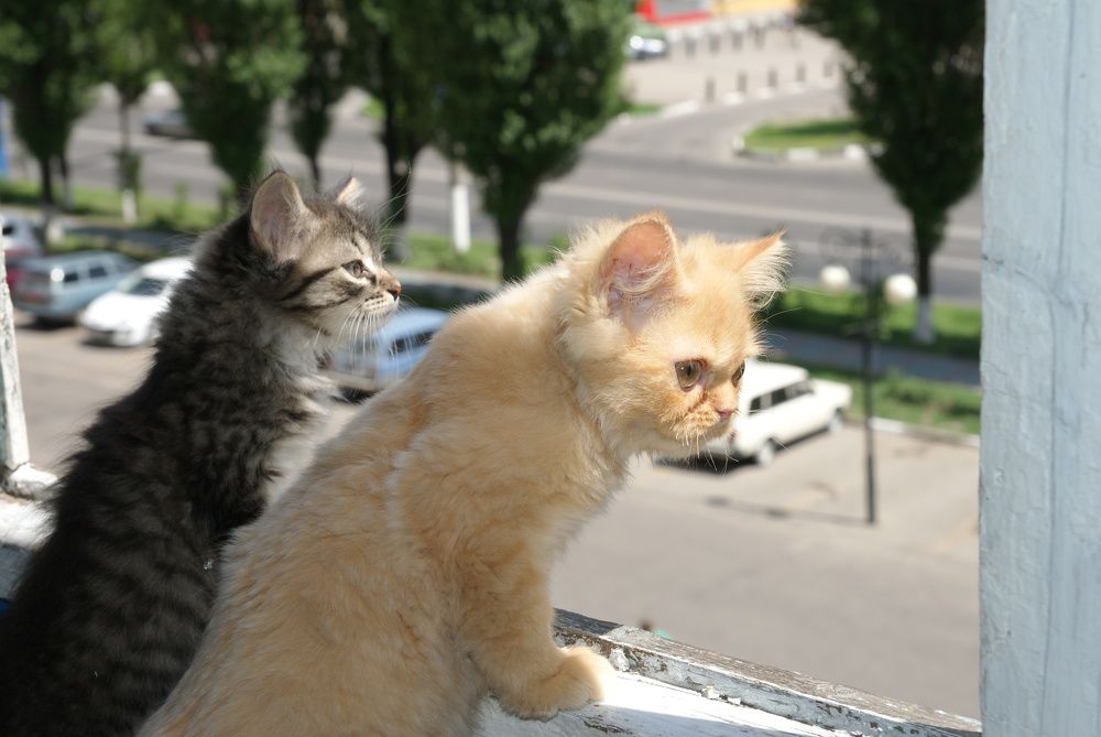 Photograph by Татьяна Дмитриева