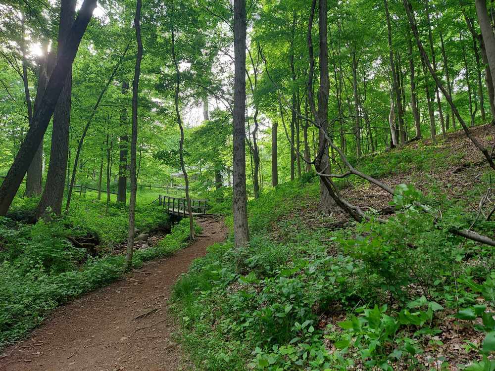 Фотография автора Adriana Rocha