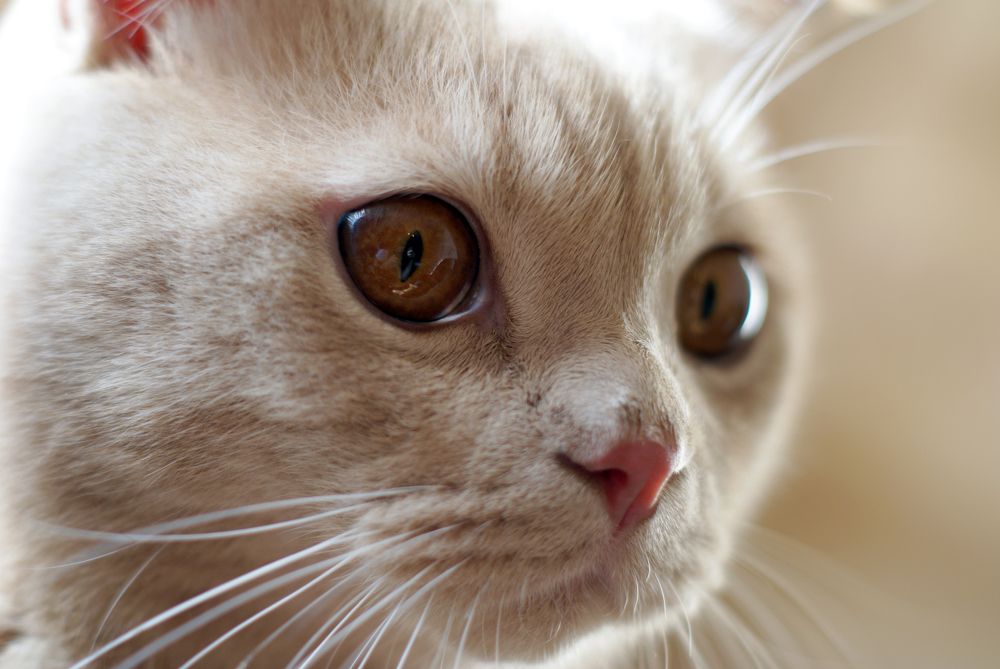 Photograph by Татьяна Дмитриева