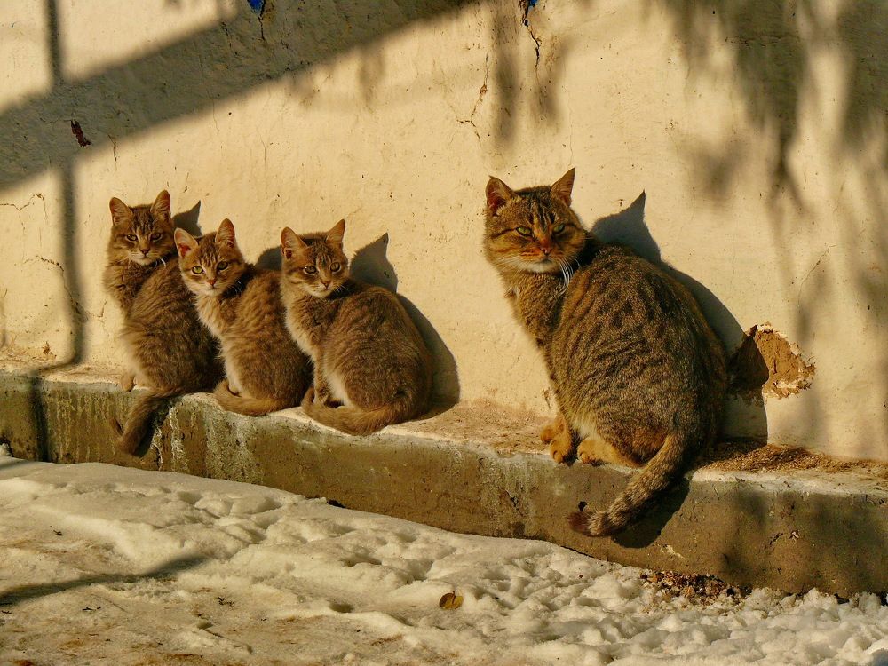 Март месяц.