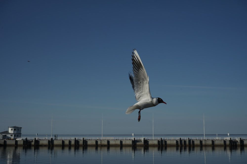 Photograph by Татьяна Дмитриева