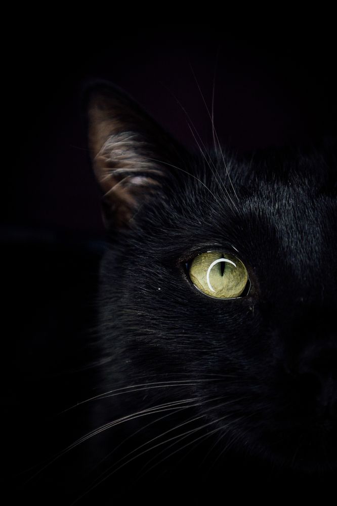 Photograph by Надежда Гончарук