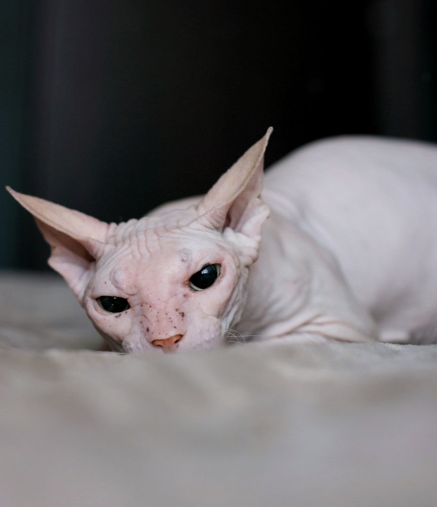 Photograph by Мария Романова