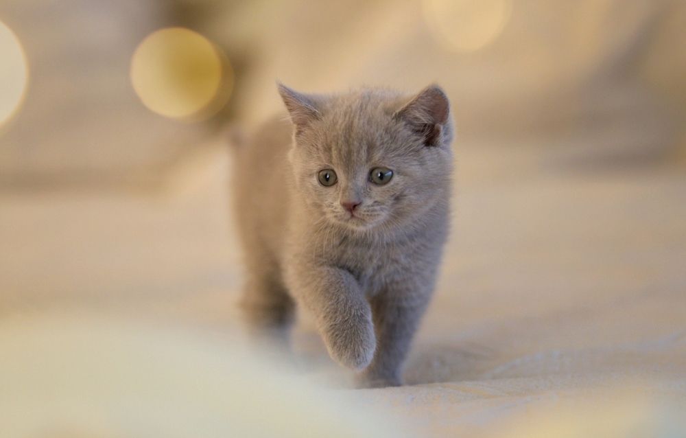 Photograph by Мария Романова