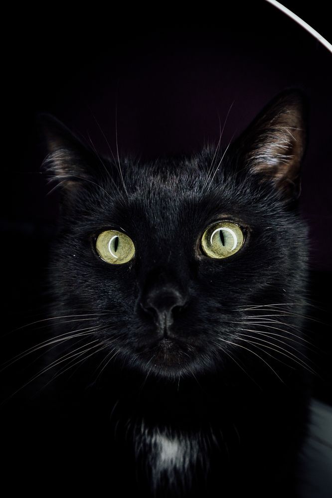 Photograph by Надежда Гончарук