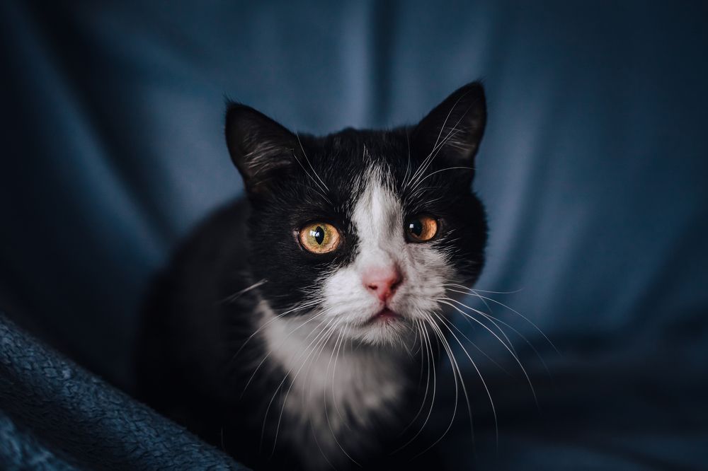 Photograph by Татьяна Степанова