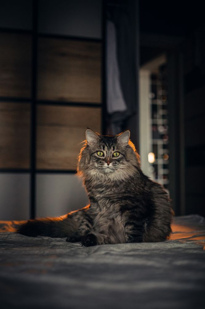 Photograph by Татьяна Степанова